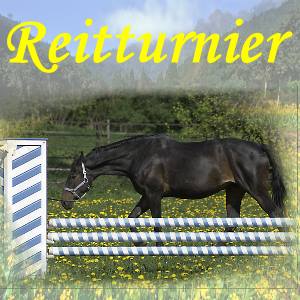 Read more about the article Reitturnier 2011 – Reit- und Fahrverein Rayen Sommerturnier