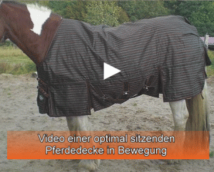 Read more about the article Pferdedecke für Appaloosa – Mix – Größe Beratung
