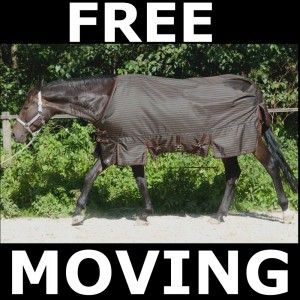 fedimax ® Free moving