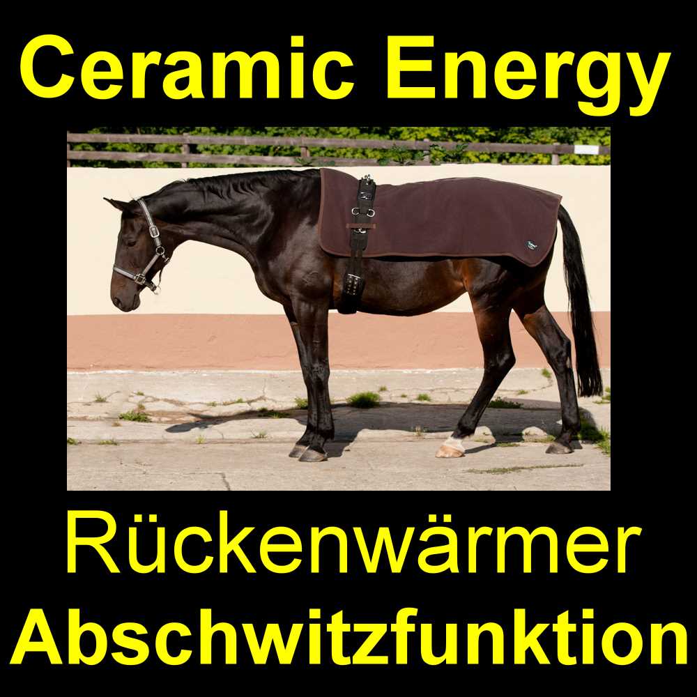 Read more about the article Rückenschmerzen beim Pferd